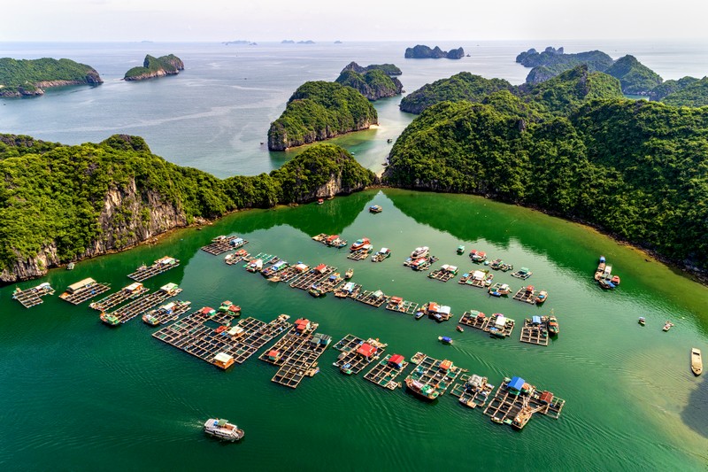 Hà Nội - Tam Đảo - Thiền Viện Trúc Lâm Tây Thiên - Vườn Quốc Gia Cát Bà - Ngắm Hoàng Hôn Trên Vịnh Lan Hạ (Khách sạn 4,5 sao)
